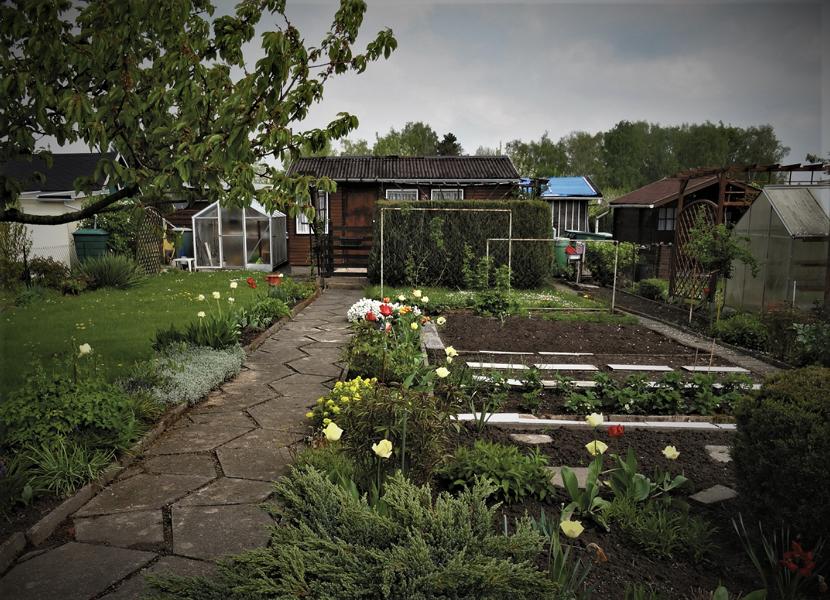 Bild Garten Nr. 120