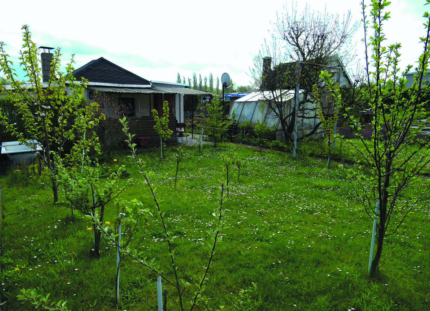 Garten 7